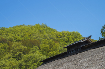 茅屋屋顶,岩手县,江户时代,屋檐,东北片区,水平画幅,古老的,户外,图像,居住区