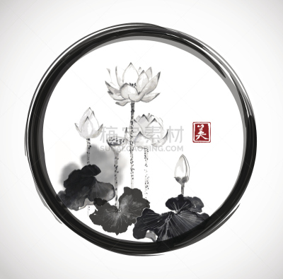 荷花,烟灰墨,黑色,水彩画颜料,自然美,中国,植物,背景,夏天,绘画插图
