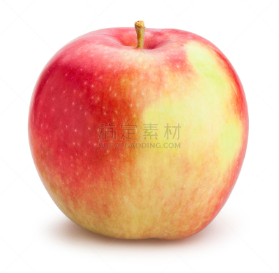 苹果,布瑞本苹果,水平画幅,无人,生食,特写,明亮,白色,清新,一个物体