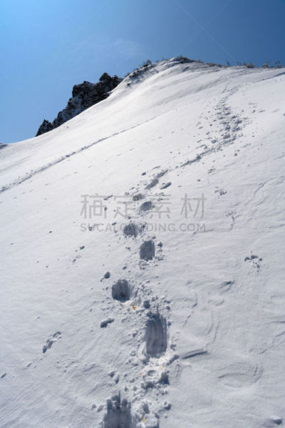 澳大利亚阿尔卑士山脉,脉搏图,自然,万代山,垂直画幅,风景,图像,雪,福岛县,春天