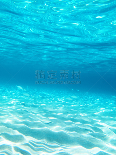 鱼类,海洋,太阳,海底,背景,垂直画幅,蓝色,水,自然界,游泳