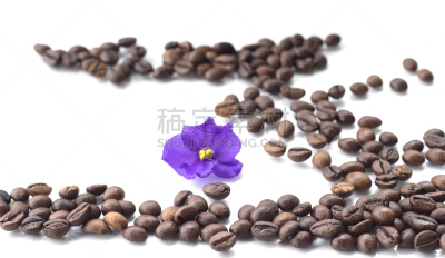 白色背景,分离着色,咖啡,平衡折角灯,烤咖啡豆,褐色,上下跳动,早餐,咖啡馆,水平画幅