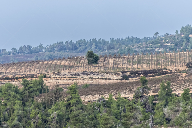 Agriculture area at hills of Jerusalem