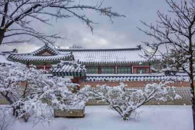 韩国,首尔,宫殿,景福宫,冬天,传统,建筑物门,雪,公园,光化门广场