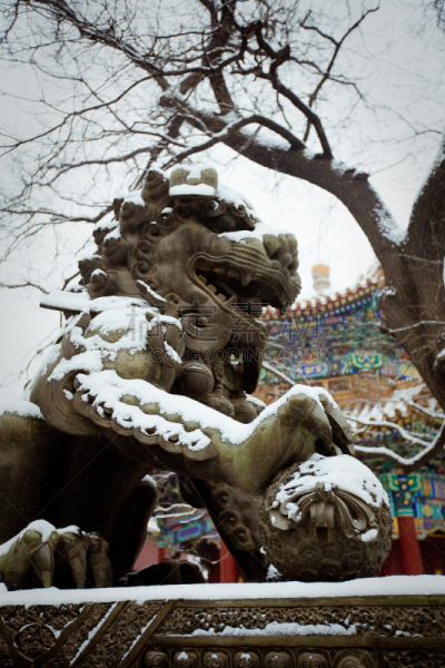 北京,雍和宫,雍和宫店,垂直画幅,建筑,雪,无人,宫殿,户外,红色