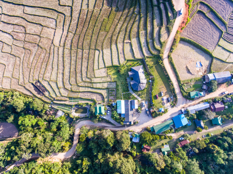 米,地形,房屋,梯田,风景,顶部,自然美,心脏移植术,移植手术,水稻梯田