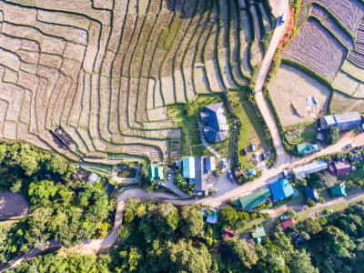 米,地形,房屋,梯田,风景,顶部,自然美,心脏移植术,移植手术,水稻梯田
