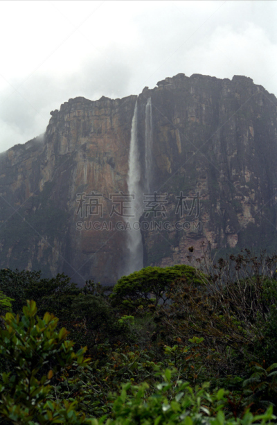 canaima,委内瑞拉,天使瀑布,亚马逊地区,垂直画幅,瀑布,湿,异国情调,户外,美洲
