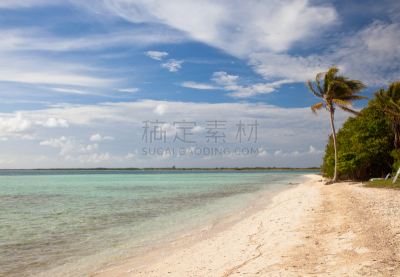 沙子,棕榈树,海滩,岛,寂寞,度假胜地,滨水,鸡尾酒,水,天空