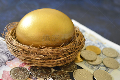 卵,金色,动物的巢,复活节,灵感,储蓄,水平画幅,无人,安全,鸟巢