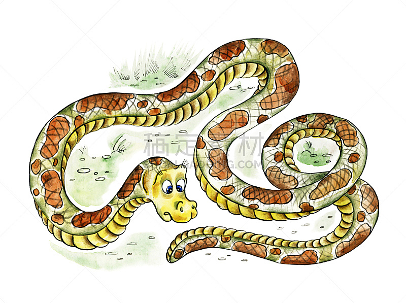 看,蟒蛇,尾巴,可爱的,水平画幅,绘画插图,巨大的,蝰蛇,性格