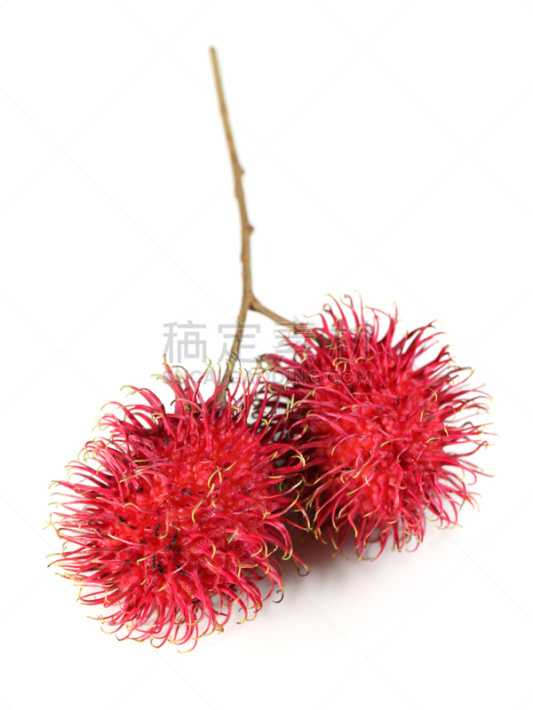 红毛丹,垂直画幅,饮食,水果,无人,蚂蚁,白色背景,背景分离,特写,甜食