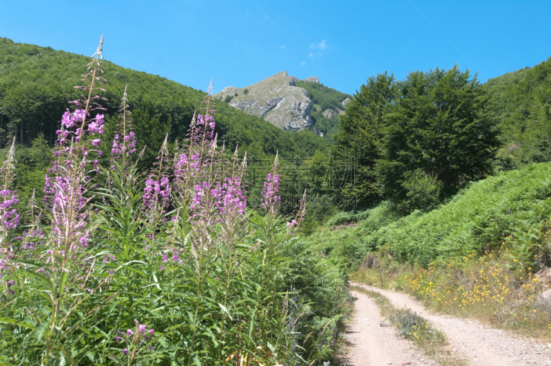 山,地形,天空,草原,水平画幅,无人,泥土,早晨,夏天,户外