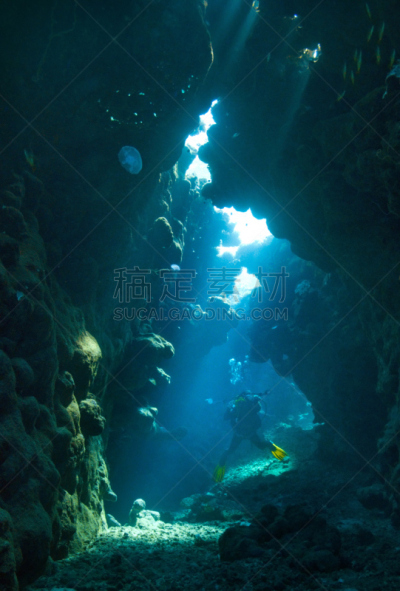 洞穴,水下,摄影师,埃及,indopacific ocean,水生动植物,垂直画幅,水,气候,休闲活动