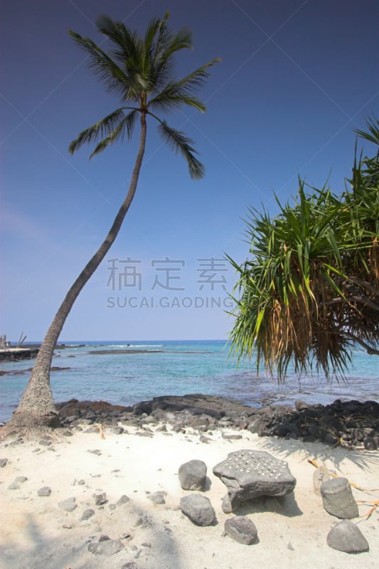 国际象棋,puuhonua o honaunau national historical park,垂直画幅,水,天空,枝繁叶茂,沙子,无人,夏天,异国情调