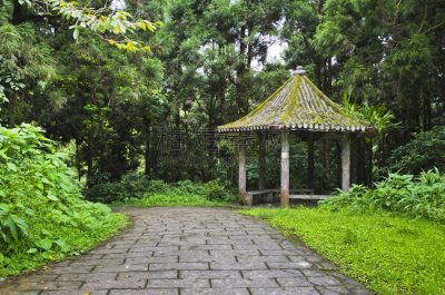 路,石头,亭台楼阁,森林,自然,松树,水平画幅,地形,建筑,无人