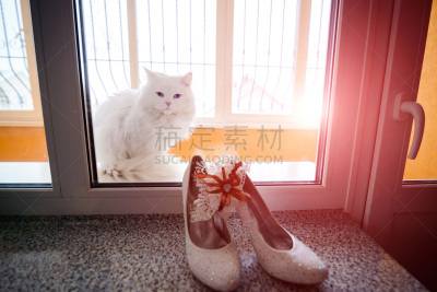 传统,婚礼,女性,吊袜带,背景聚焦,猫,鞋具,拉凡他那石拱,背景分离,华贵