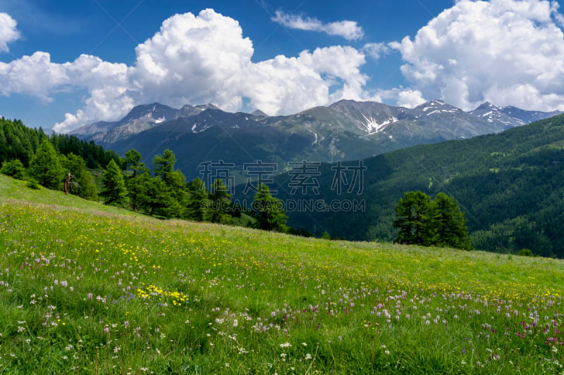 路,地形,山,戴尔计算机公司,科莱,自然,白昼,皮埃蒙特,风景,环境保护