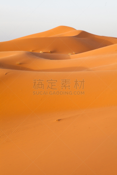 比沙丘沙漠,erg chebbi dunes,自然,垂直画幅,地形,沙子,无人,全景,非洲,夏天
