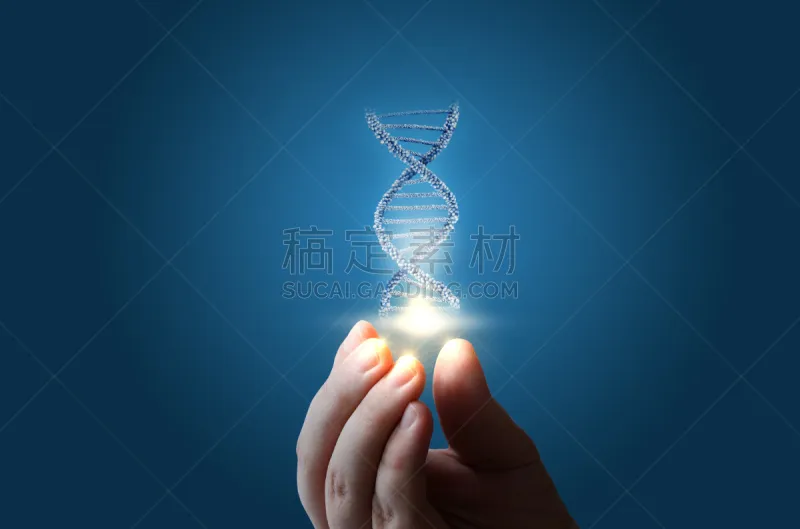 脱氧核糖核酸 手 蓝色背景 合成图像 四肢 折叠的 水平画幅 科学 生物学 生物化学图片素材下载 稿定素材