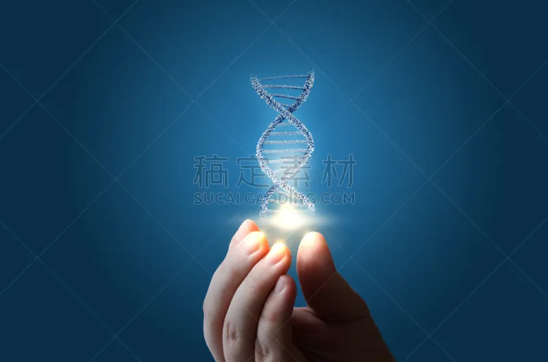 脱氧核糖核酸 手 蓝色背景 合成图像 四肢 折叠的 水平画幅 科学 生物学 生物化学图片素材下载 稿定素材 脱氧核糖核酸 手 蓝色背景 合成图像 四肢 折叠的 水平画幅 科学 生物学 生物化学图片素材下载 稿定素材