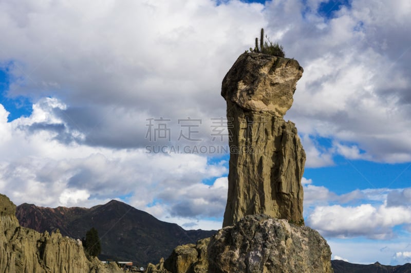 月亮,月亮谷,山谷市,五只动物,高架铁路铁轨,拉巴斯,沙岩,仙人掌,著名景点,沙漠