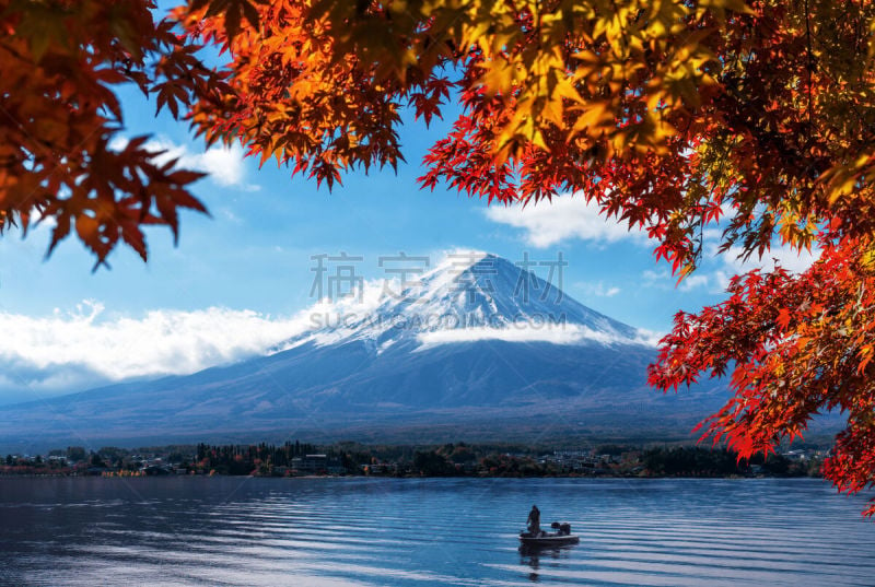 富士山,秋天,湖,看风景,河口湖,枫树,蒙大拿州,东京,日本,著名景点