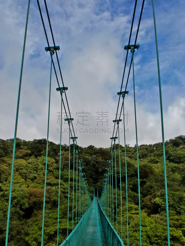 吊桥,蒙特维多云雾森林,蒙特沃德,哥斯达黎加,人行桥,垂直画幅,公园,无人,热带雨林,夏天