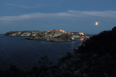 夜晚,新西兰南岛,夏天,布希曼族,树荫,群岛,水平画幅,地形,无人