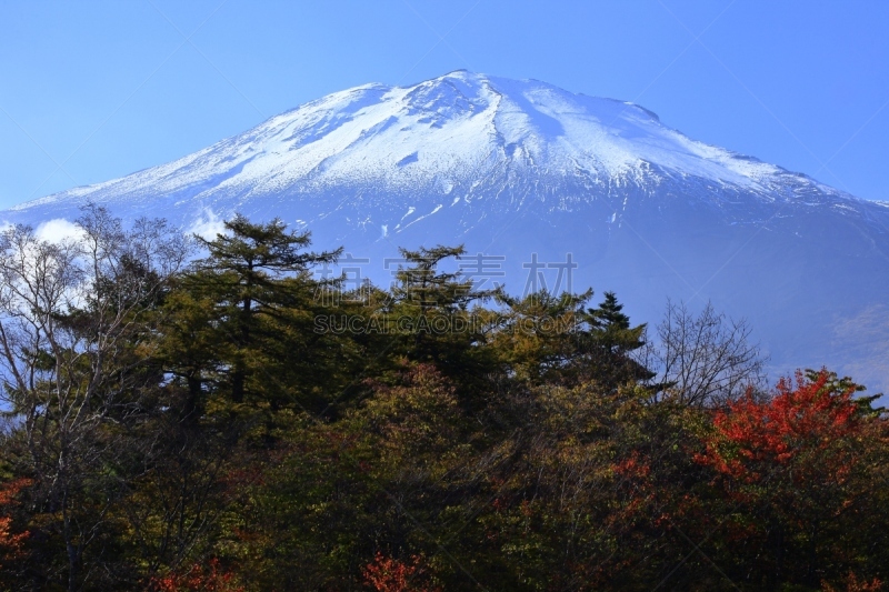 秋天,富士山,叶子,河口湖,富士河口湖,山梨县,山口,天空,水平画幅,无人