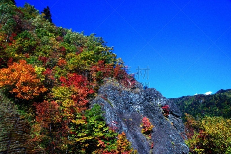 秋天,丹姆,札幌,北海道,温泉,水平画幅,枫叶,无人,枫树,晕影效果