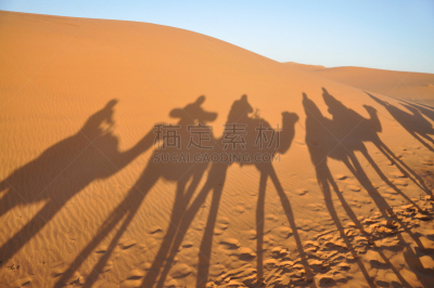 阴影,骆驼,撒哈拉沙漠,旅途,游牧民族,北非,护送队,莫鲁加,摩洛哥,单峰骆驼