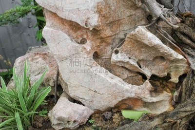 公园,石头,仙人掌,自然美,大螯虾,美式玉米粥,白垩系,攀岩技术练习,起源,尖的
