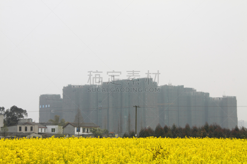 农场,消失点,水平画幅,无人,四川省,成都,户外,城市,田园风光,摄影