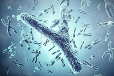 科学,三维图形,染色体,绘画插图,概念,老色迷,生物科技,替代疗法,辅导讲座,水平画幅