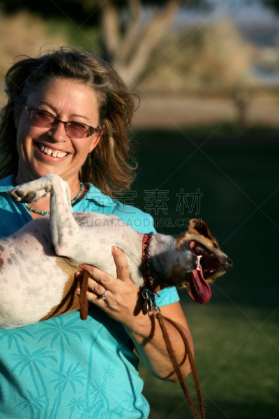 嬉戏的,宠物,装死,宠物牵引带,杰克拉瑟短腿犬,垂直画幅,动物嘴,休闲活动,进行中,梗犬