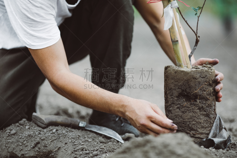 男人,户外,春天,成年的,仅成年人,职业,农民,环保人士,人,仅男人