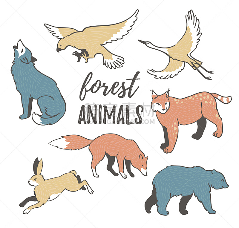 卡通,野外动物,矢量,手,森林,动物主题,狼,野兔,狐狸,鹰