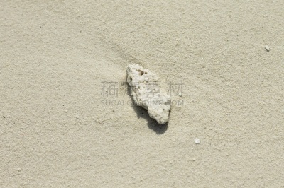 阿里环礁,海滩,马尔代夫,珊瑚,荒岛,分离着色,脚印,热带气候,印度洋,海岸线