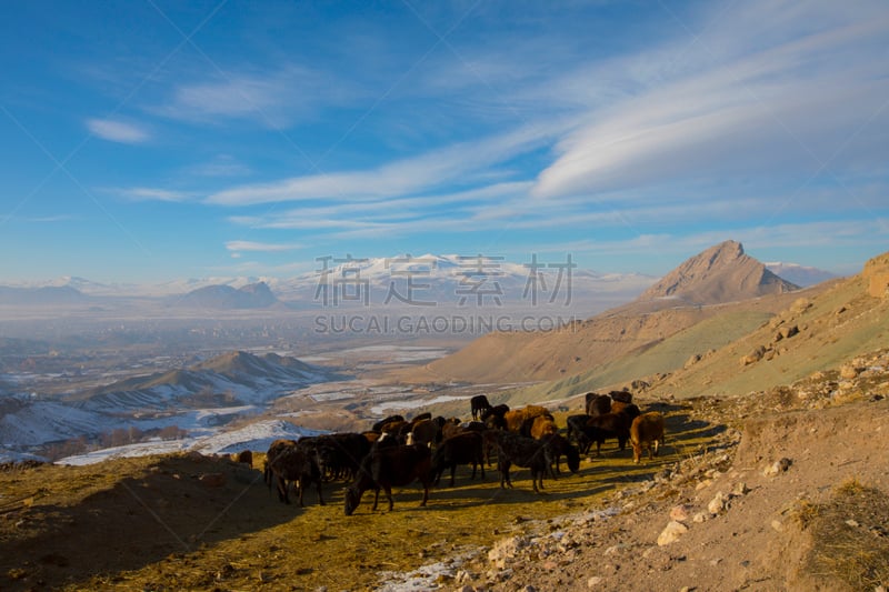 土耳其,天空,德古巴雅兹特,东,居住区,蓝色,背景,白山山脉,查济,宫殿