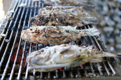 格子烤肉,烤的,食盐,罗非鱼,鱼类,传统,热,海产,清新,膳食