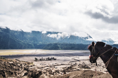 婆罗摩火山,马,自然美,看风景,印度尼西亚,塞梅鲁火山,bromo-tengger-semeru national park,东爪哇,爪哇,火山口