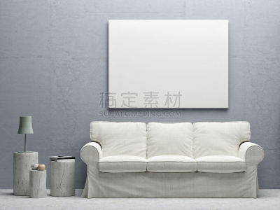 白色,概念,室内,起居室,画廊的开幕式,沙发,画布,墙,空白的