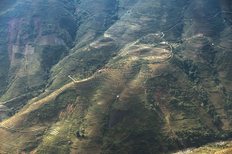 高处,越南,地形,梯田,山罗省,居住区,计程车车站,有色人种,飘然,山脉