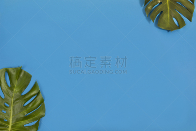 仙人掌联盟,咖啡湾,订书机,有节疤的木料,彩色铅笔,毡尖笔,色板,水平画幅,木制,无人