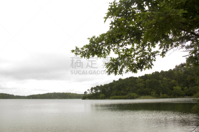 池塘,柯德角,悬崖,州立公园,马萨诸塞,淡水,运动,新英格兰,环境,湖