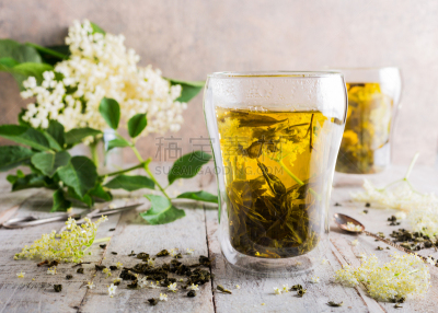 接骨木树,绿茶,水平画幅,无人,玻璃,果汁,夏天,生物学,饮料,特写