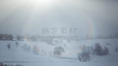 迷路,冬天,雾,北林肯郡,快印黑白照,天空,美,艺术,水平画幅,雪