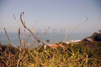 海洋,水,天空,美,水平画幅,沙子,洛杉矶县,海岸地形,户外,海浪