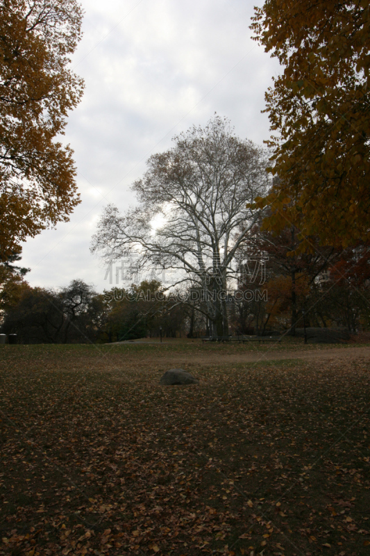 水库,中央公园,杰奎琳肯尼迪,纽约,钟,智慧,垂直画幅,水,天空,公园